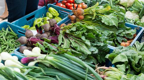 Вегетарианство. 5 ошибок начинающих вегетарианцев