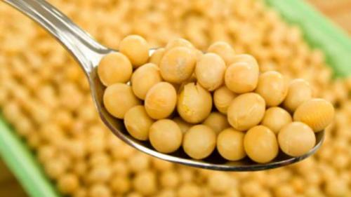 Дешевые белковые продукты. Топ-10 продуктов по содержанию белка