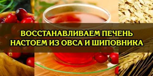 Чистка печени овсом в домашних условиях рецепты. Очищение печени овсом в домашних условиях 01