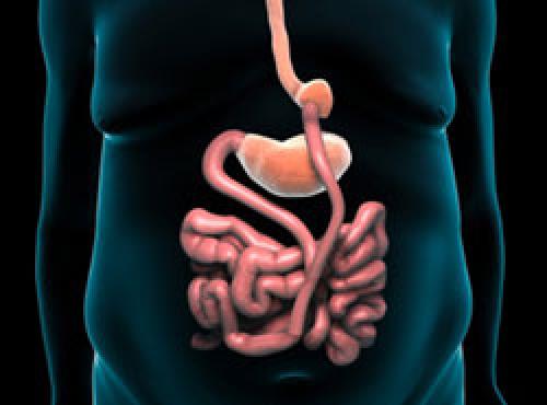 Шунтирование желудка показания. Желудочное шунтирование — показания к операции, этапы шунтирования желудка