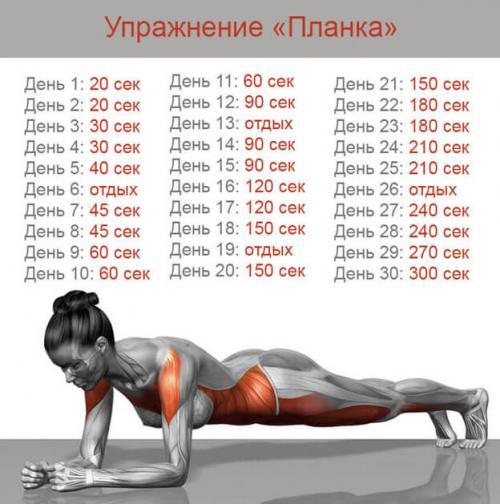Упражнения для похудения планка. Как правильно делать планку начинающим: важные рекомендации