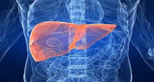 Чистка печени народными средствами: быстродействующие методы для чистки печени дома