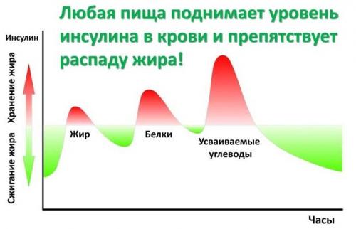 Продукты с низким инсулинемическим индексом. Что такое инсулиновый индекс?