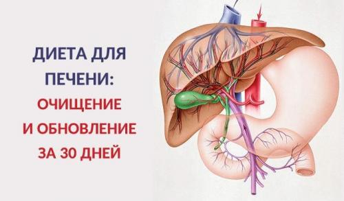 Салат для очищения печени. Диета для очищения и восстановления печени