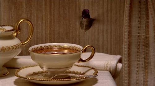 Кофе для похудения рецепт. Кофе с корицей для похудения: когда лучше пить, сколько и как готовить?