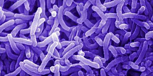 Что такое бездрожжевой хлеб. Так что же полезнее – обычный или бездрожжевой хлеб? 01 Что такое бездрожжевой хлеб. Так что же полезнее – обычный или бездрожжевой хлеб? 01