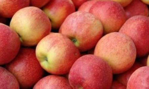 Диета на овсянке меню на неделю. Диета на овсянке : минус 15 килограммов за 2 недели 03 Диета на овсянке меню на неделю. Диета на овсянке : минус 15 килограммов за 2 недели 03