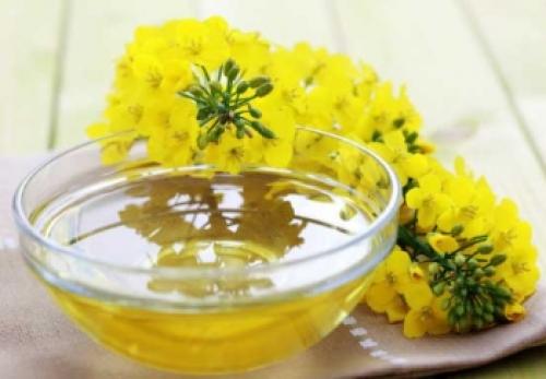 Масло рыжиковое. Полезные свойства