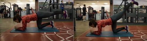 Программа тренировок для девушек в тренажерном зале на 3 дня. Программа тренировок в тренажерном зале для девушек