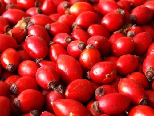 Чистка печени овсом и шиповником