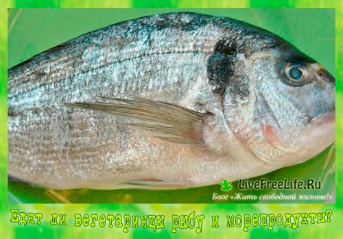 Лакто ово вегетарианство это. Что это такое 01 Лакто ово вегетарианство это. Что это такое 01