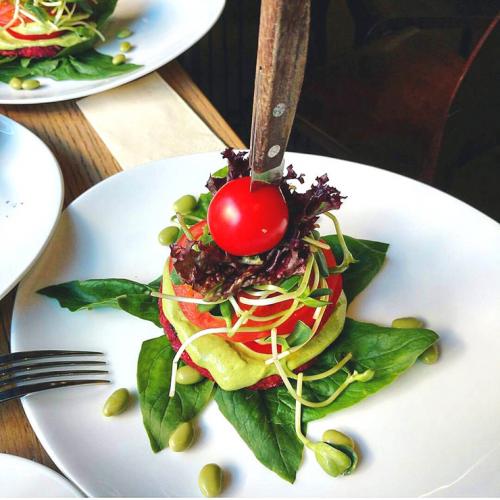 Книги про отказ от мяса. «Китайское исследование»