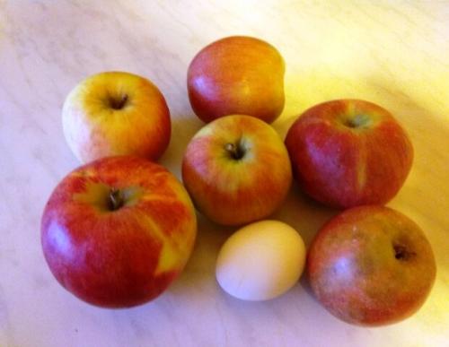 Белевская пастила при похудении. Домашняя «Белевская пастила» без сахара