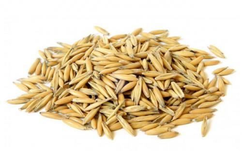 Как варить овес для чистки печени. Как пить?