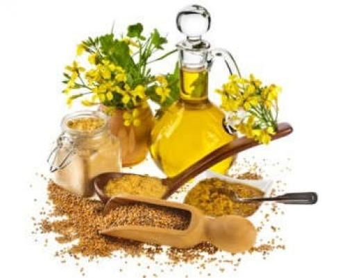 Масло рыжиковое. Полезные свойства