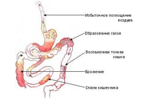 Бурый рис для похудения. Как использовать бурый рис для эффективного похудения?