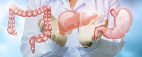 Постоянно хочется кушать сосет желудок. “Сосет под ложечкой”: причины