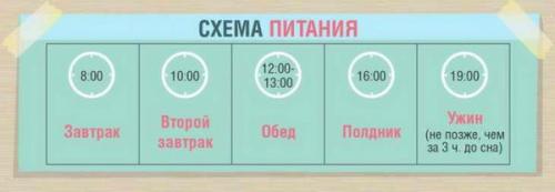 Белково углеводная диета Малышевой. Белковая диета от Елены Малышевой