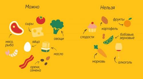 Белково углеводная диета Малышевой. Белковая диета от Елены Малышевой