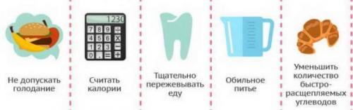Белково углеводная диета Малышевой. Белковая диета от Елены Малышевой