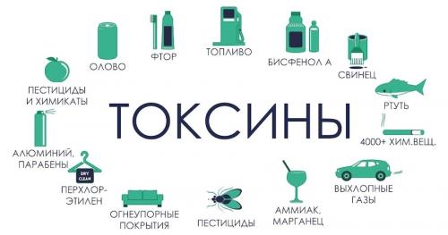 Очищение организма похудение народными средствами. Очищение организма от шлаков народными методами