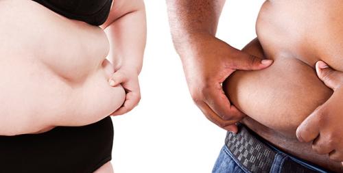 Виды ожирения у женщин. Типы ожирения у женщин: классификация 07