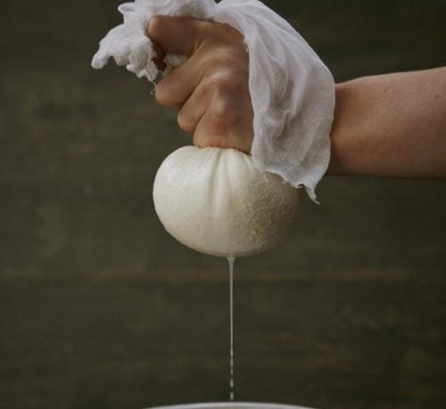 Желчегонный сбор с кукурузными рыльцами. Травы при дискинезии желчевыводящих путей, холецистите и холангите