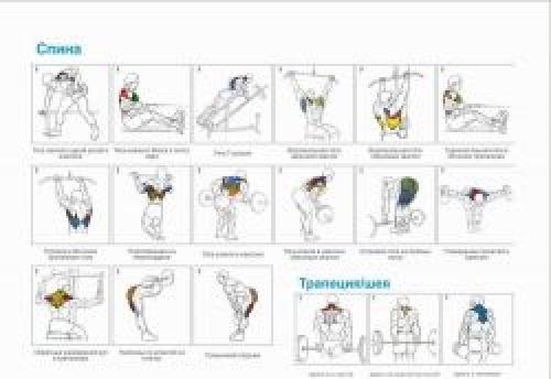 Какие упражнения делать в тренажерном зале, чтобы похудеть. Какие тренировки лучше? 08 Какие упражнения делать в тренажерном зале, чтобы похудеть. Какие тренировки лучше? 08