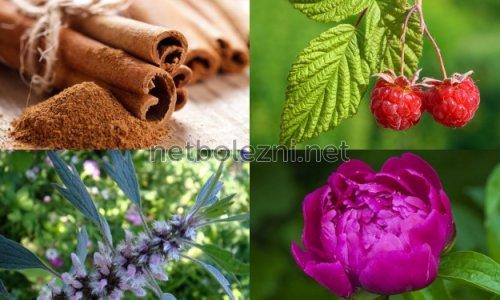 Лишний вес и прогестерон. ВЫВОДЫ 04