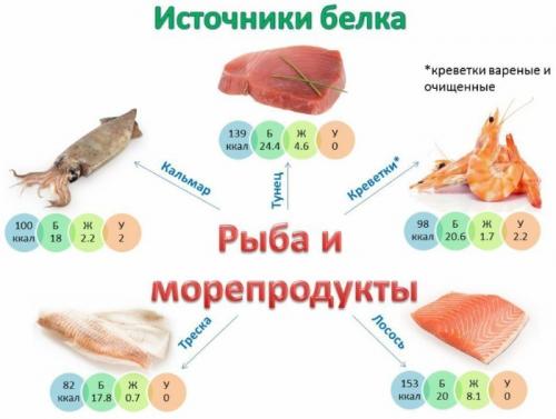 Выберите продукты богатые белками. Какие продукты содержат белок в большом количестве  