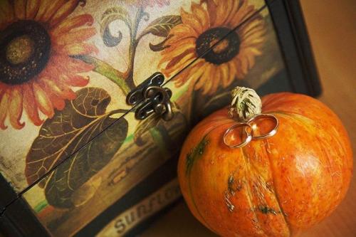 Можно ли есть тыкву при похудении. Тыквенная диета для похудения: особенности и польза 06