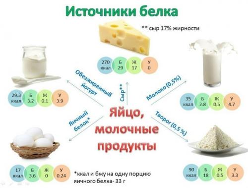 Выберите продукты богатые белками. Какие продукты содержат белок в большом количестве  