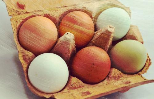 Почему нельзя заменить мясо. Могут ли яички заменить мясо?