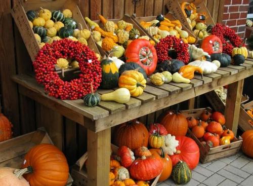 Можно ли есть тыкву при похудении. Тыквенная диета для похудения: особенности и польза 03