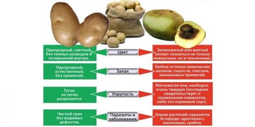 Диета на картошке. Можно ли похудеть на картошке