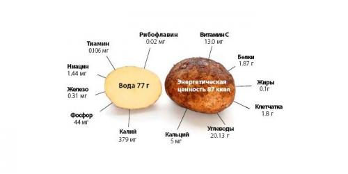 Диета на картошке. Можно ли похудеть на картошке