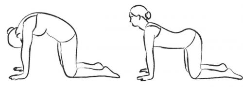 Упражнения с валиком для шеи. Как правильно лежать на валике по 5 минут в день по японской методике, чтобы подтянуть овал лица и выровнять осанку