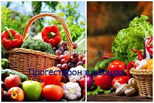 Лишний вес и прогестерон. ВЫВОДЫ 02