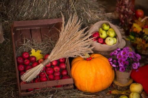 Можно ли есть тыкву при похудении. Тыквенная диета для похудения: особенности и польза 10