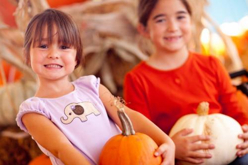 Можно ли есть тыкву при похудении. Тыквенная диета для похудения: особенности и польза 07