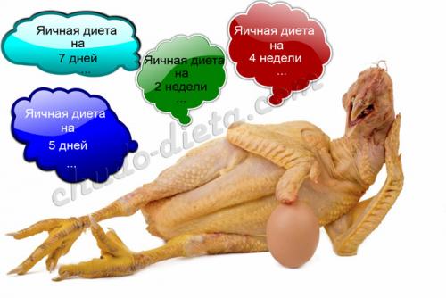 Яичная диета меню. Как работает яичная диета? 10 Яичная диета меню. Как работает яичная диета? 10