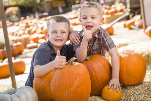 Можно ли есть тыкву при похудении. Тыквенная диета для похудения: особенности и польза 04