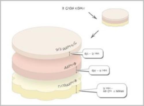 Микроблейдинг бровей чем отличается от перманентного макияжа. Немного о микроблейдинге