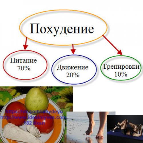 Планка на месяц для похудения. Какая нужна планка для похудения для начинающих?