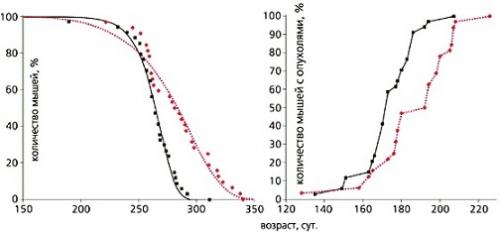 Метформин от старости. Метформин инструкция для омоложения мозга