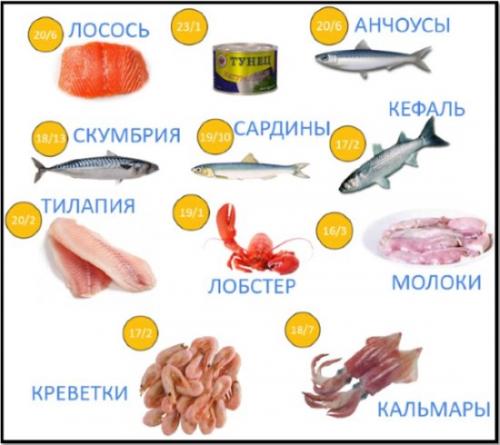 Белковые продукты для похудения. Какие белковые продукты стоит есть при похудении