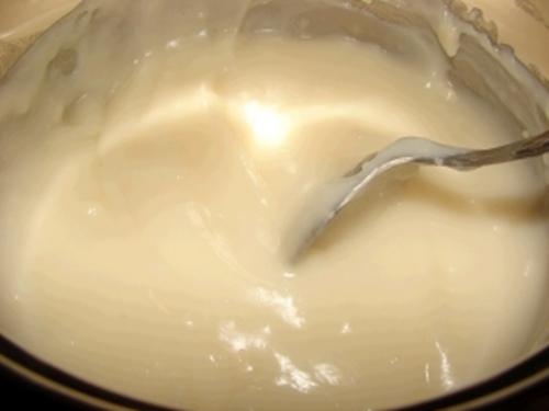 Вегетарианские рецепты майонез из молока. Вегетарианский майонез без яиц (постный): 5 рецептов