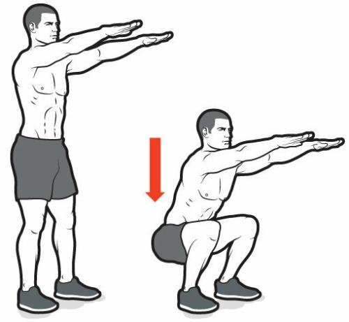 Таблица приседаний для мужчин. 100 приседаний для здоровья мужчины после 50