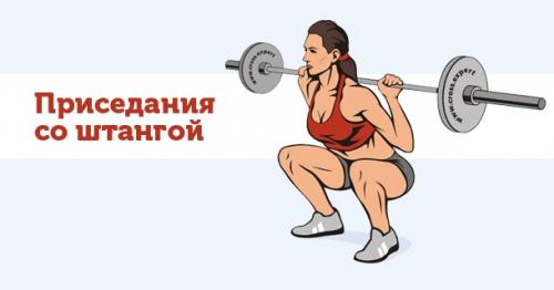 Приседания для девушек со штангой. Используемые мышцы