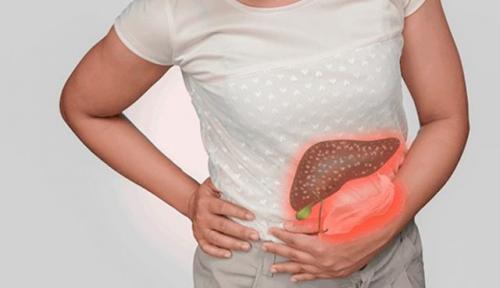 Как очистить печень народными средствами. Печень, как индикатор здоровья